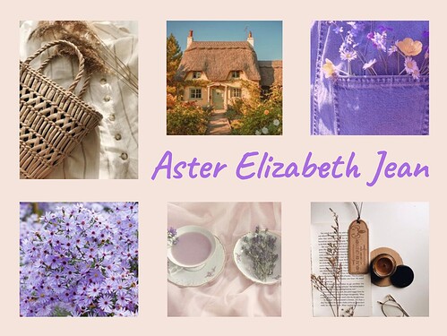 Aster Elizabeth Jean