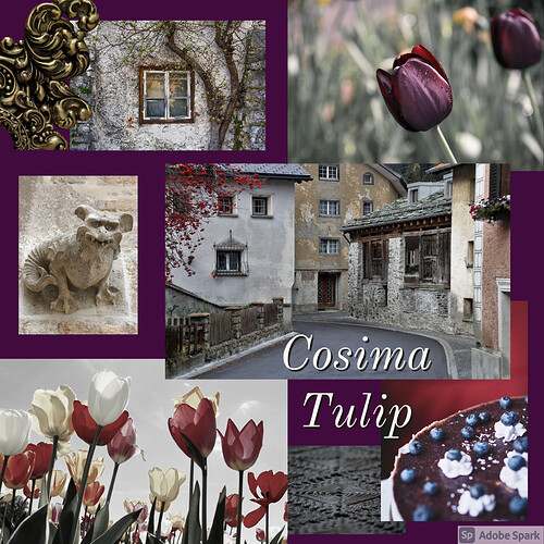Cosima Tulip ME