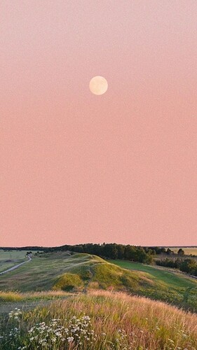 IMG_9101