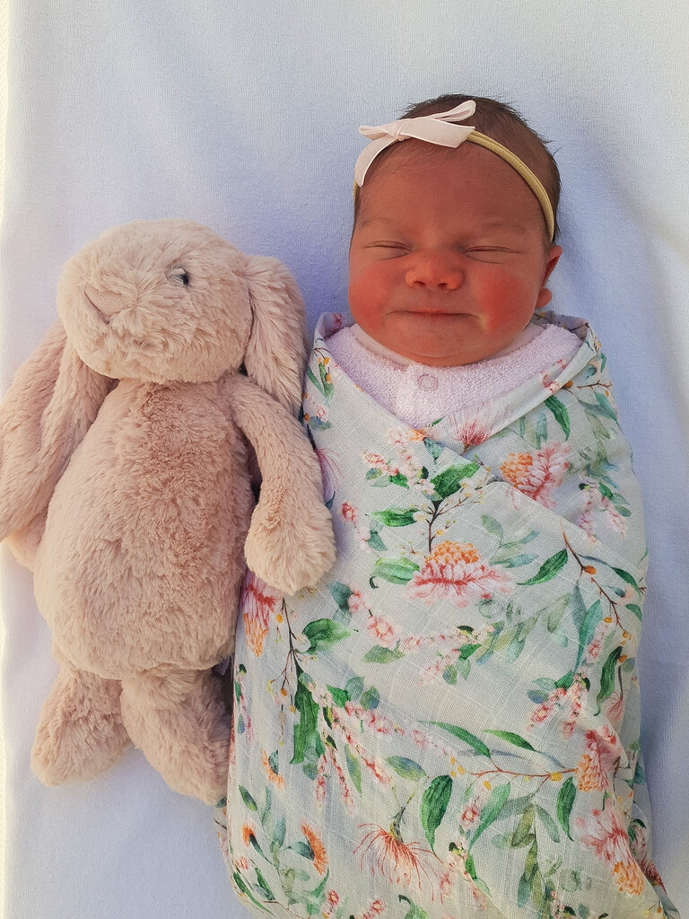 Walter and Edmund's little sister is here! Birth Announcements