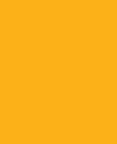 Cheapest Solid [name_u]Bright[/name_u] Beer Yellow [name_u]Orange[/name_u] Color" iPad [name_m]Case[/name_m] & Skin ...