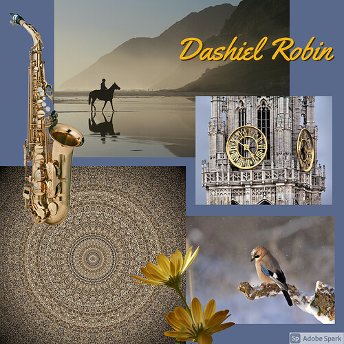 Dashiel Robin