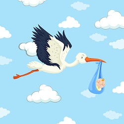 storkboy