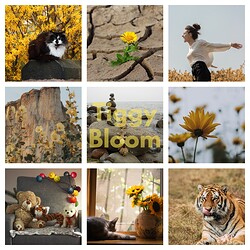 Tiggy-Bloom--collage