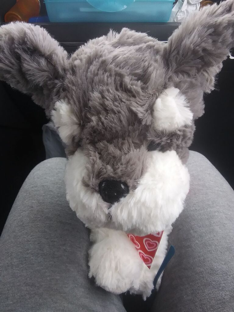 What do you think the names of my stuffed animals (yes I still have