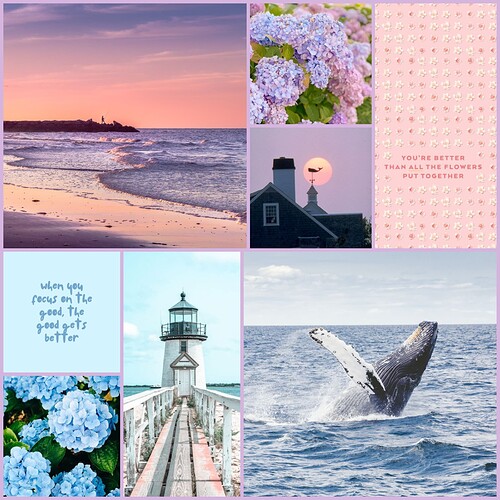 MV Collage