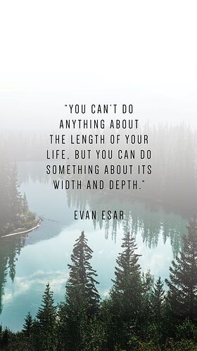 Travel quotes