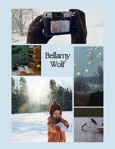 bellamy