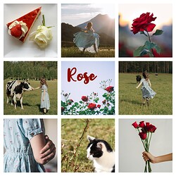 Rose--collage
