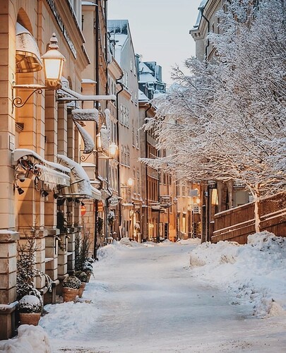 59 images about wintery vibes on We Heart It | See more about winter, snow  and christmas