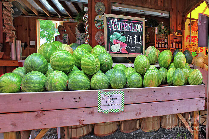 Farm Stand Watermelon Photograph by Jeanne OConnor - Pixels