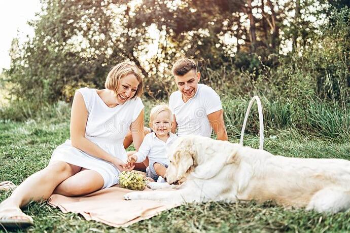 Young Cute Family on Picnic with Dog Stock Photo - Image of family,  labrador: 126339934