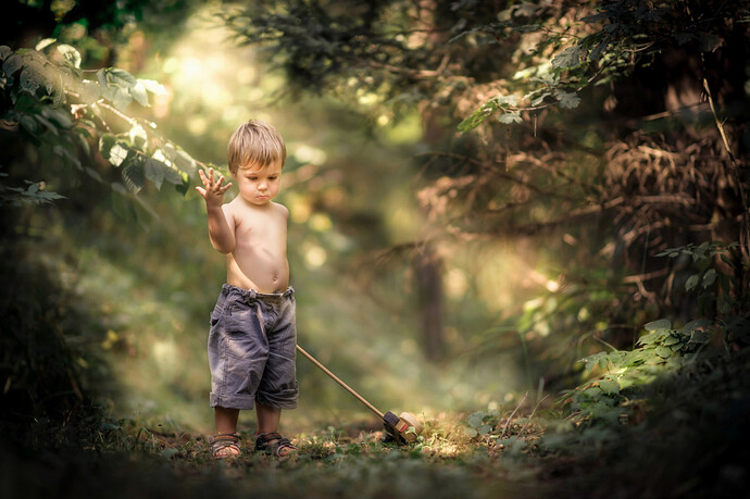 2048x1365_px_children_forest_Little_Boy_nature_Sun_Rays-642759