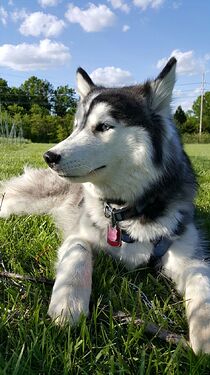 Such a pretty girl!