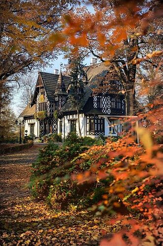autumn