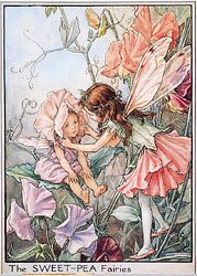 cicely mary barker flower fairies