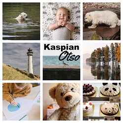 Kaspian-Otso--collage