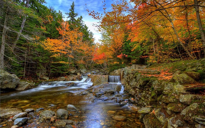 Autumn-Woods-2560x1600