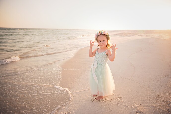 beach-marsh