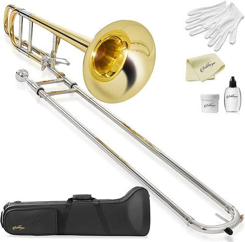 Amazon.com: Ashthorpe Bb Tenor Trombone with F Trigger, Gold Lacquer Finish  - Includes Case, Mouthpiece, Gloves, Cleaning Cloth, Slide Grease : Musical  Instruments