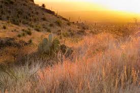 Organ Mountains Region Is Now a National Monument | Time