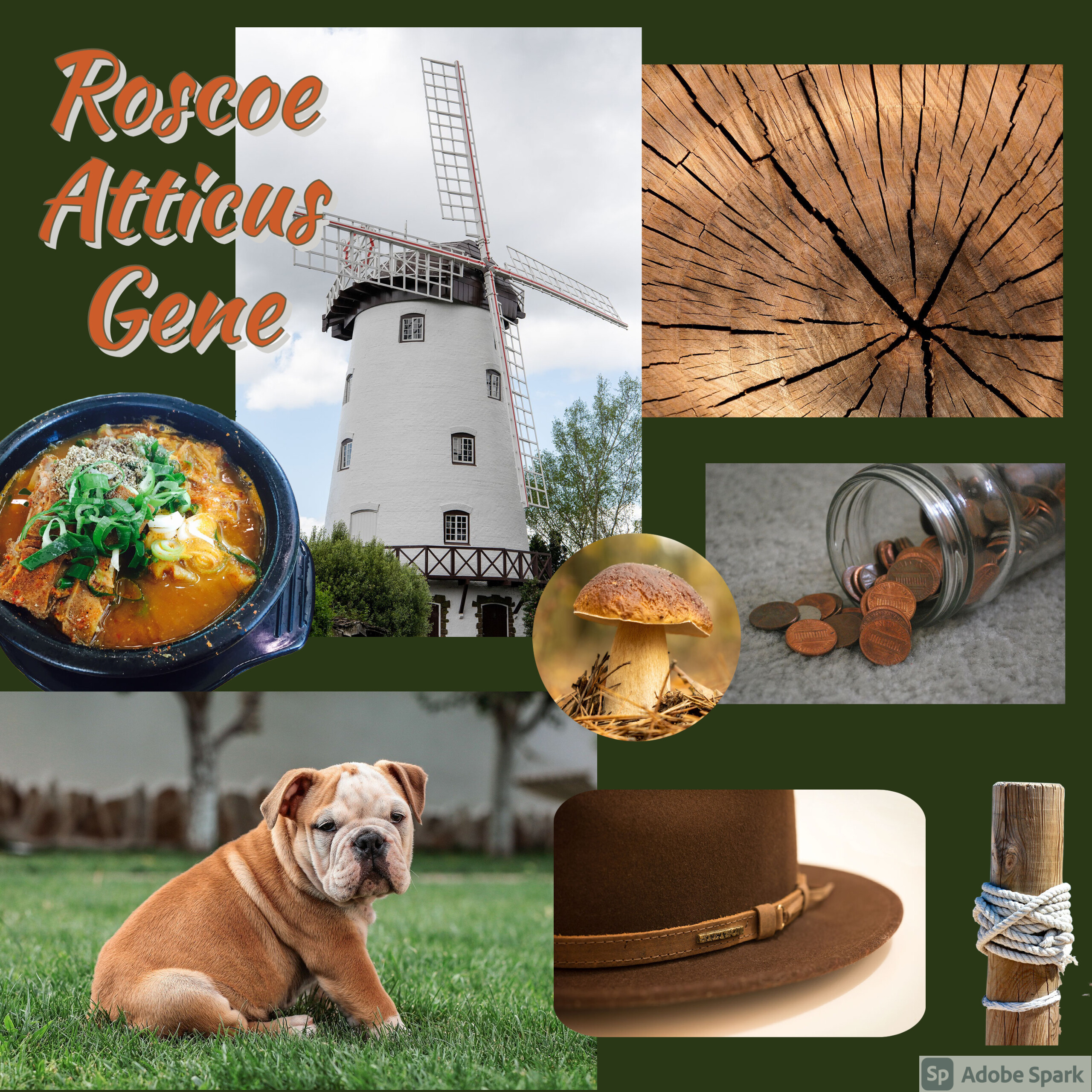 Roscoe Atticus Gene