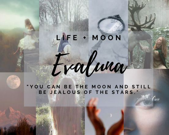 Screen Shot 2021-04-02 at 4.58.01 pm