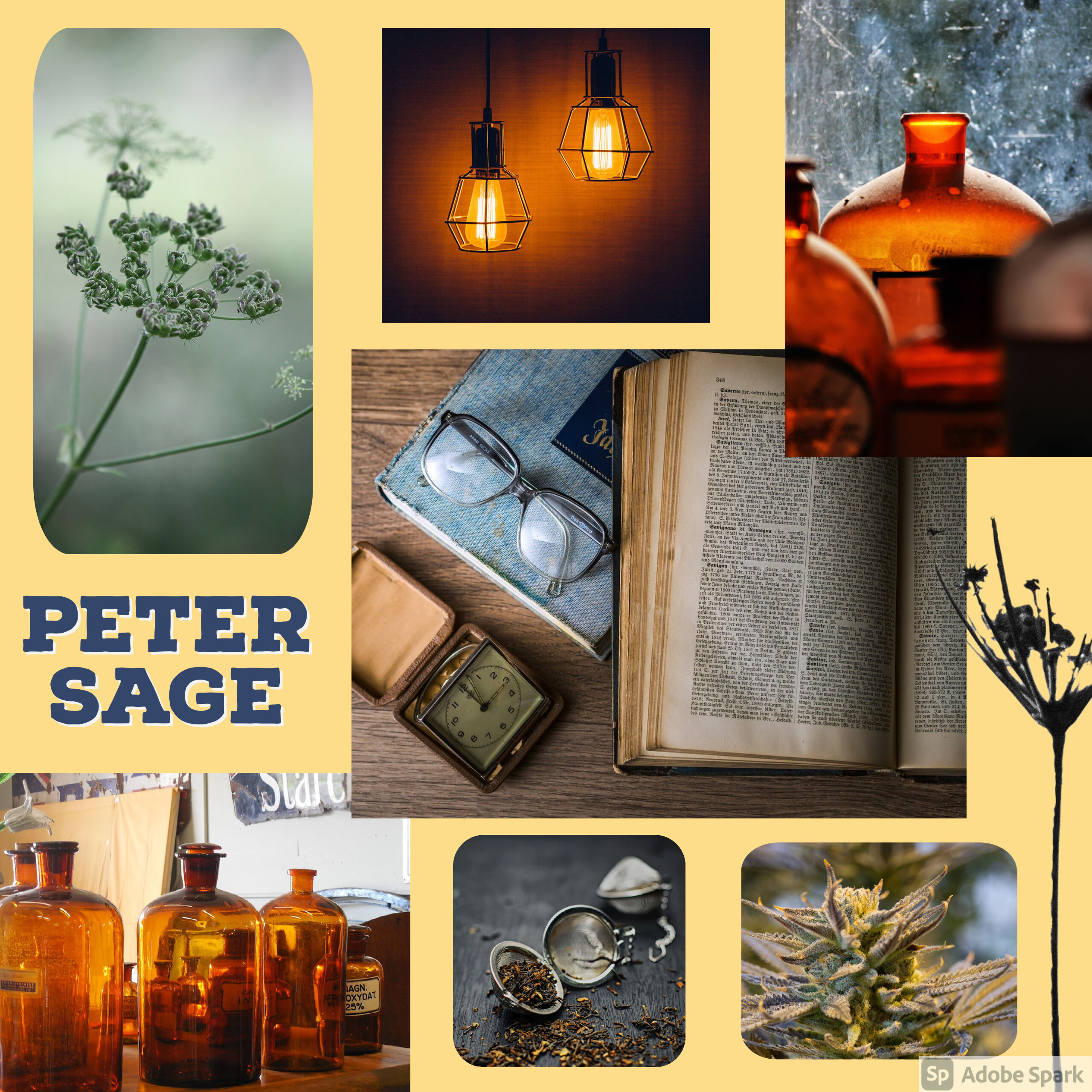 Peter Sage