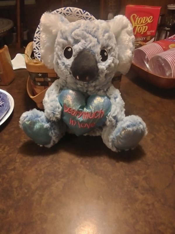 What do you think the names of my stuffed animals (yes I still have