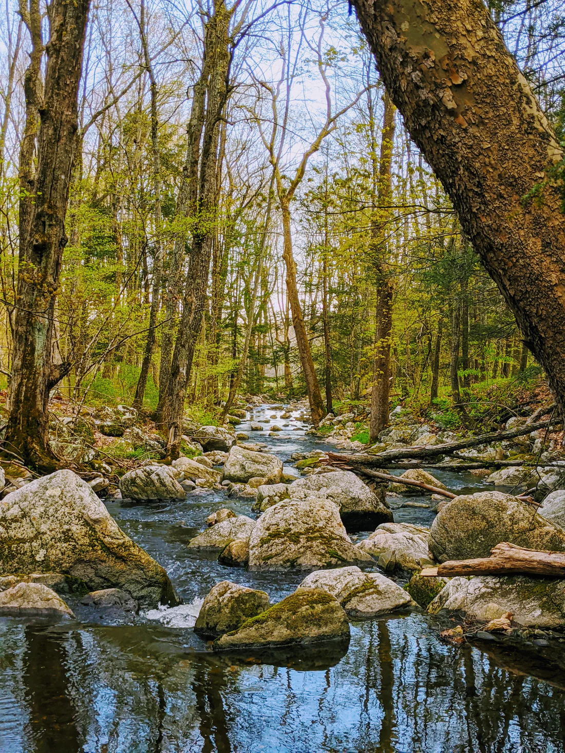 scenery2
